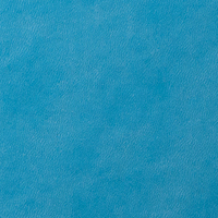 искусственная кожа SyNT3 VIVELLA голубого цвета (F003).
