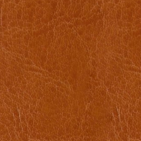 NEBRASKA THERMO Светло-коричневый (A218)