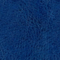 NEBRASKA THERMO Ярко-синий (A226)