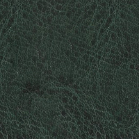 NEBRASKA THERMO Темно-зеленый (A299)