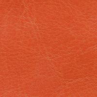 NEBRASKA THERMO Оранжевый (A837)
