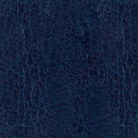 NEBRASKA THERMO Темно-синий (B236)