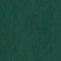 Vivella Зеленый (4720)