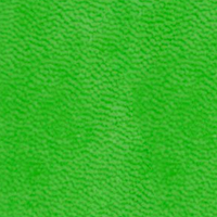 Vivella Светло-зеленый (D790)