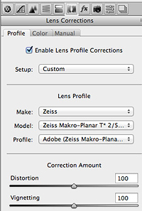Панель Lens Correction / вкладка Profile.