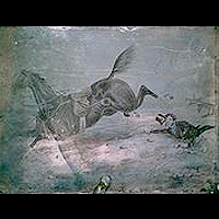 Цветной дагеротип. Копия рисунка, 1855.